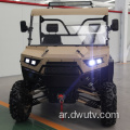 4 * 4 2 مقاعد UTV / ATV (10.5KW)